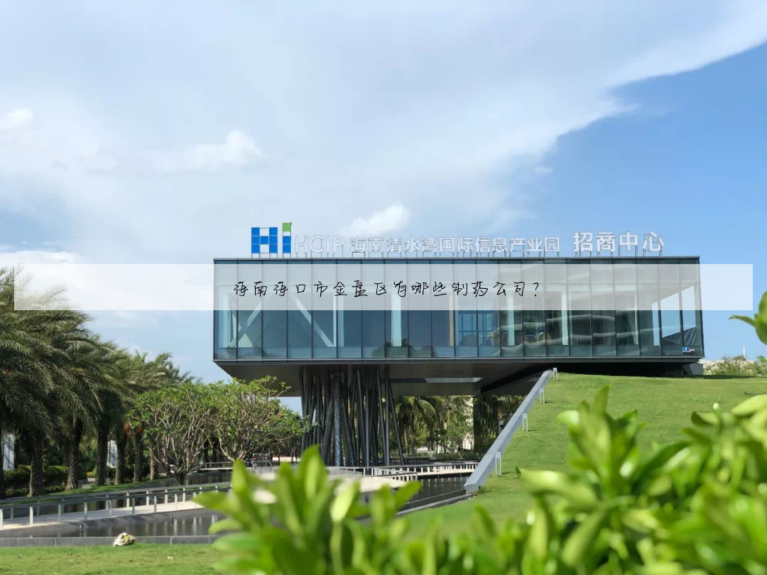海南海口市金盘区有哪些制药公司?