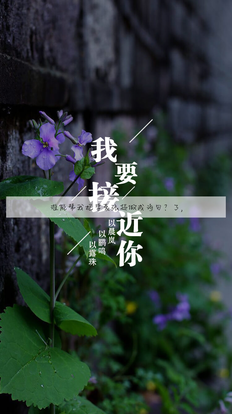 谁能帮我把挚爱张超做成诗句?了,
