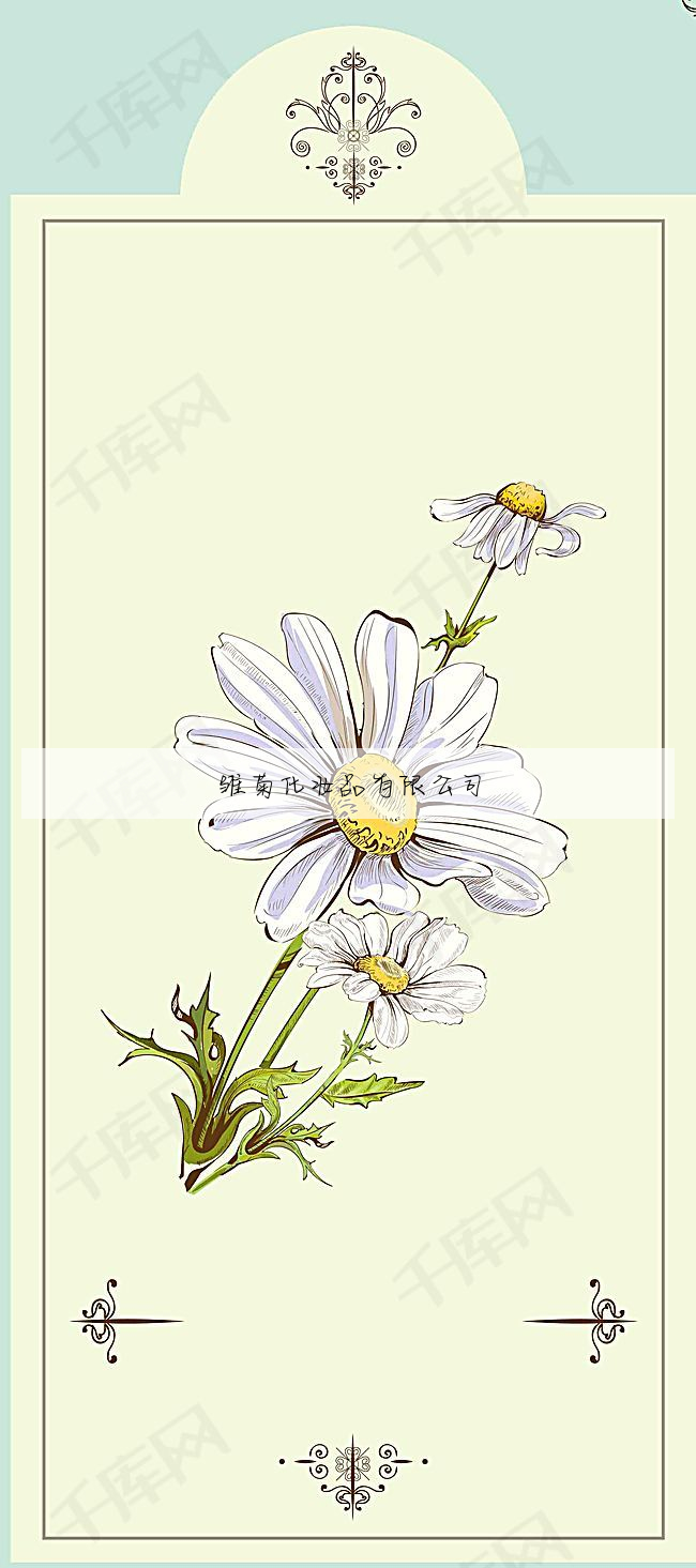 雏菊化妆品有限公司