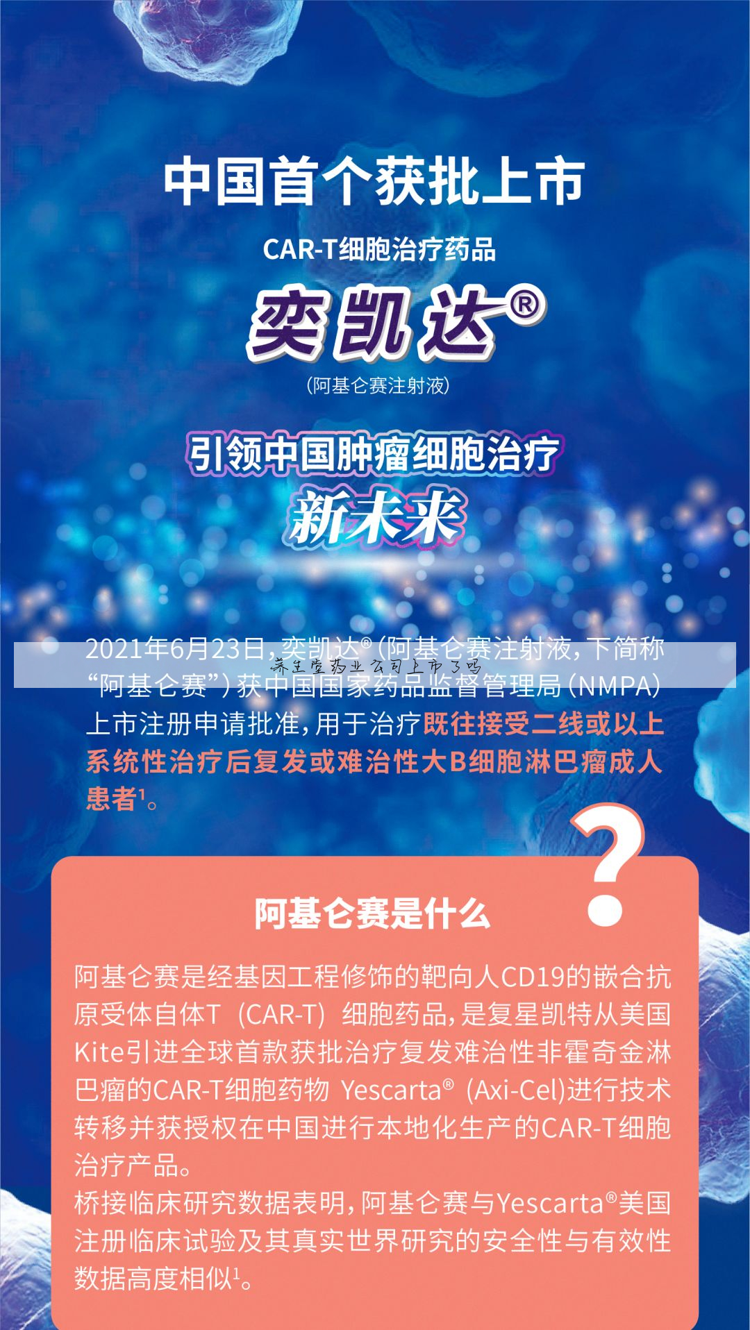 养身堂药业股份有限公司