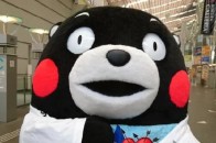 百田圈小圈最新文章