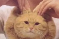 百田圈小圈最新文章