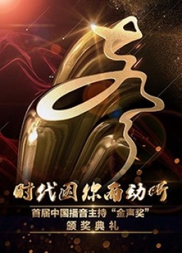 首届中国播音主持“金声奖”颁奖典礼彩
