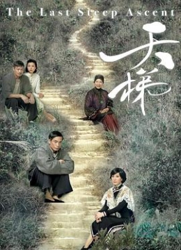 51影城电影网手机版晨钟暮鼓