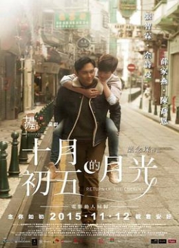 16影视梦似晚霞