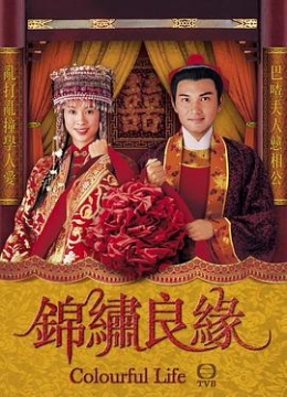 锦绣良缘粤语彩