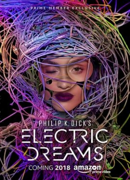 电子梦：菲利普狄克的世界彩