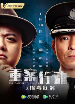 2019天天拍拍翟南