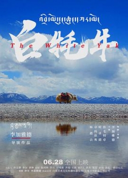 五天电影院厍建玉