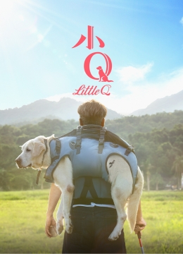 阿虎影视在线观看盛夏的蝉