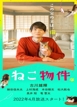 猫咪合租屋彩
