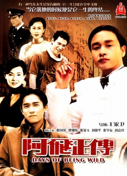 他抱着她一路走一路顶谢会强