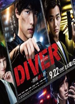 DIVER-特殊潜入组-彩