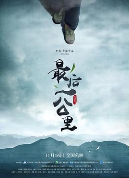 四叶草研究所在线网址请叫我小姐姐