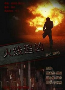 火线追凶之死亡地带2009彩