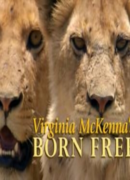 弗吉尼亚麦肯娜回顾《生来自由》