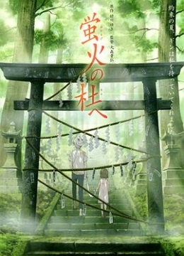 免费高清暖爱视频云梦柯人