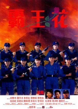 霸王花1988粤语彩