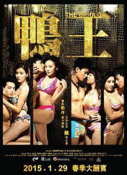 鸭王2015彩