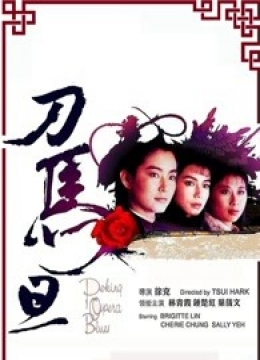 宅宅视频播放叶问
