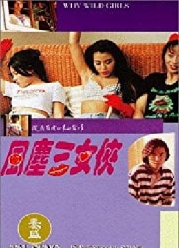 风尘三女侠/94男女交响曲彩