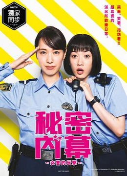 女子警察的逆袭/秘密內幕～战斗吧！派出所女子彩