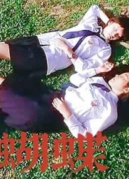 蝴蝶（2004）彩