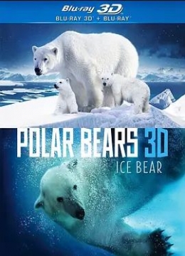 北极熊冰熊