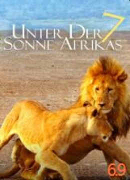 走进非洲7：拂晓之狮彩