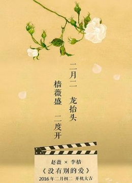 我和我的小姨八方宾服