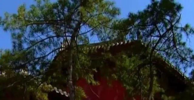 关公故里 晋是好运｜旅发时刻看最美运城之稷山篇！_腾讯新闻