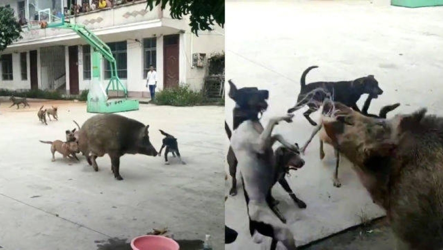0