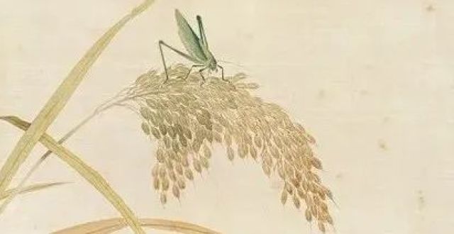 此处无声胜有声——论齐白石的草虫册页作品_腾讯新闻