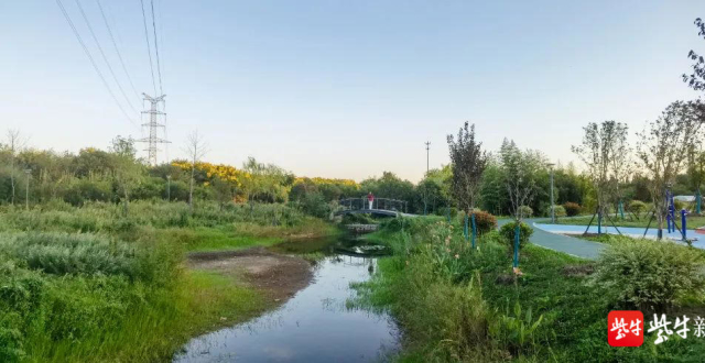 南京市江宁西宁社区小微湿地助力乡村人居生态环境建设_腾讯新闻