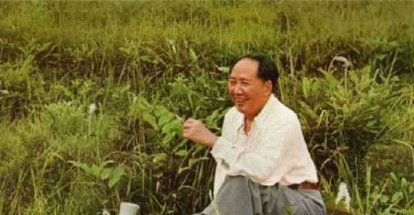 LOL最强打野英雄排行榜 谁是当今野区王者