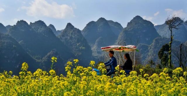 【康养胜地 人文兴义】万峰林景区今日起恢复运营！快去油菜花田打卡吧～_腾讯新闻