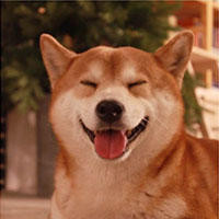 四川方言:美女拉肚子被堵在高速路上 结局笑惨