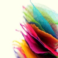 生活小窍门:如何快速剥蒜的妙招!