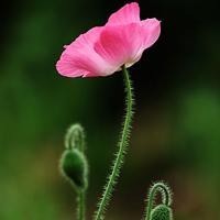 2017辽宁春晚小品大全蔡明于洋小品《看车》