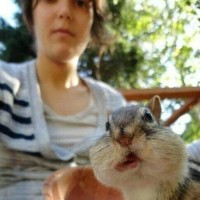 荒野求生一加一:乔和麦特迷失在墨西哥尤卡坦