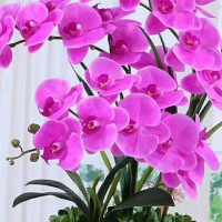 UG编程入门教程补快速补烂面方法技巧