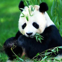 宋小宝 文松 杨冰 小品《星际旅行》