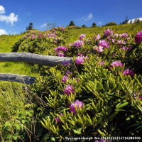 大衣哥朱之文2018年,第14次演出!