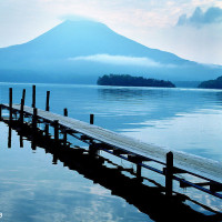 宝宝巴士恐龙世界和工程车 给霸王龙喂水果 萌