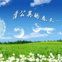 十三亿分贝二手玫瑰献唱《命运》