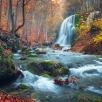 刺绣教学视频,玫瑰花针绣方法教程,喜欢的快来