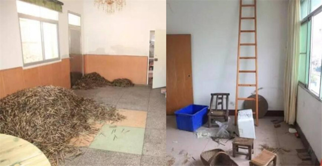 ����������� ����͵��10�������