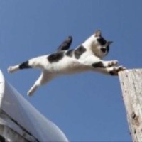 蒙面唱将一首《屋顶》,太好听了 美女评委现场