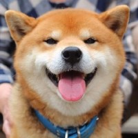 看天下奇闻趣事的个人频道