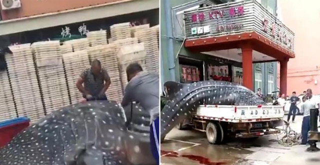 大礼花弹路边卖,险_天津